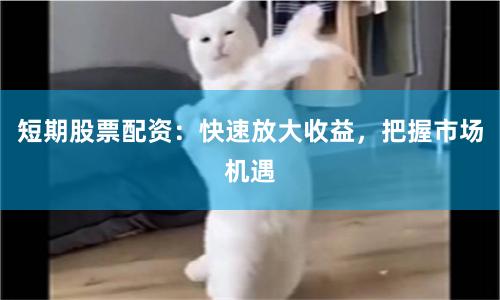 短期股票配资：快速放大收益，把握市场机遇