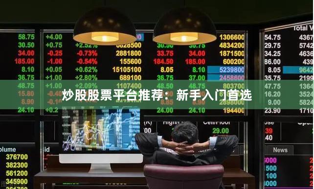 炒股股票平台推荐：新手入门首选