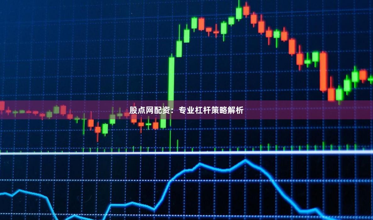 股点网配资：专业杠杆策略解析
