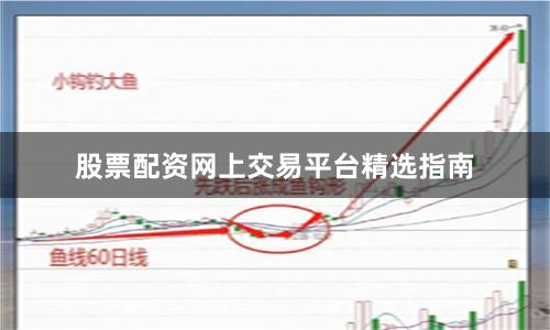 股票配资网上交易平台精选指南